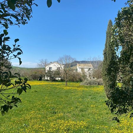 Agriturismo Colle Igino Матера Екстер'єр фото