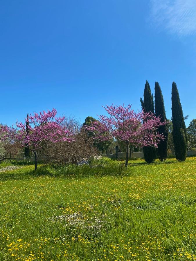 Agriturismo Colle Igino Матера Екстер'єр фото