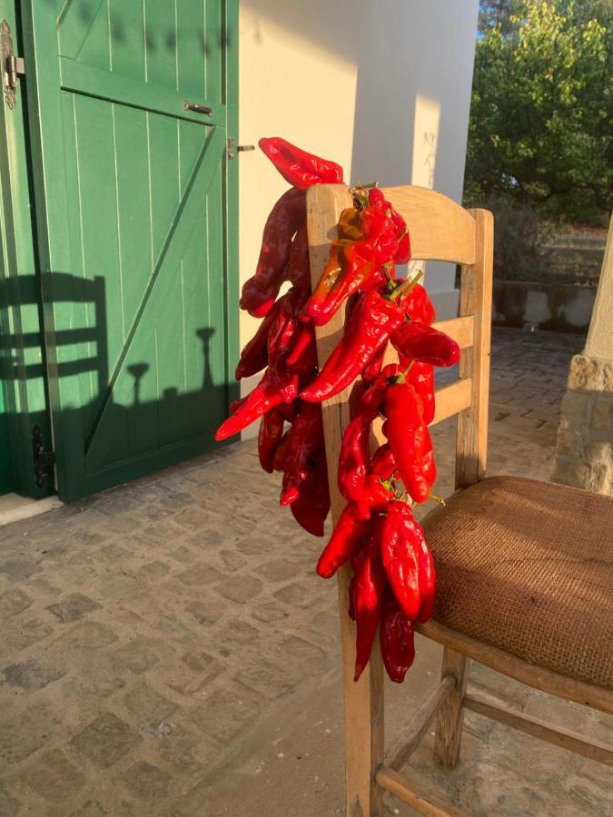 Agriturismo Colle Igino Матера Екстер'єр фото
