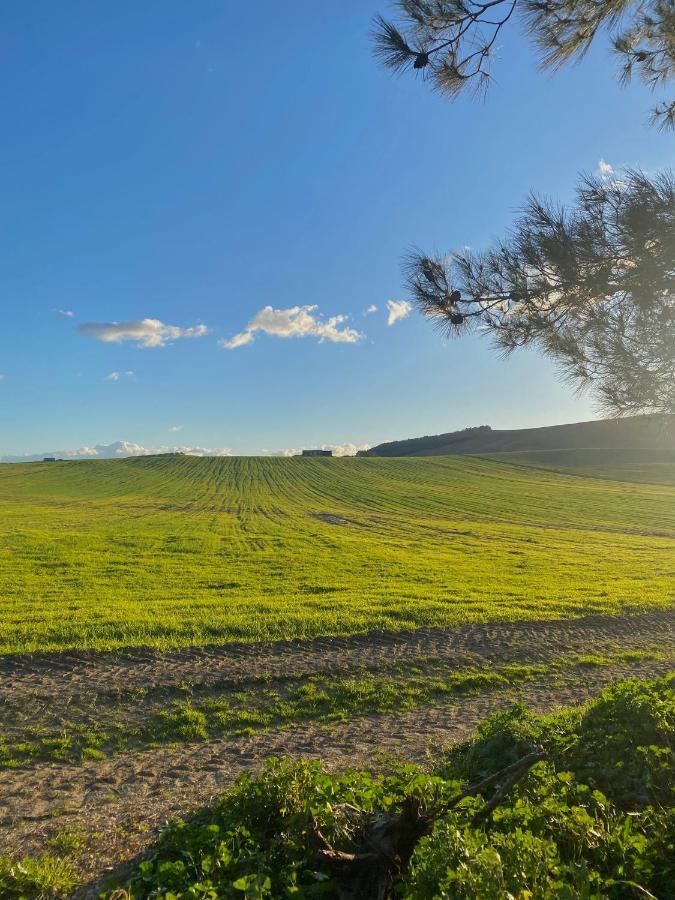 Agriturismo Colle Igino Матера Екстер'єр фото