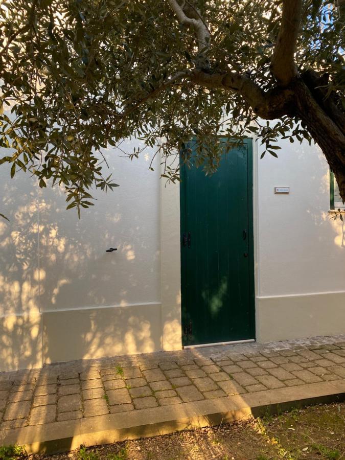 Agriturismo Colle Igino Матера Екстер'єр фото