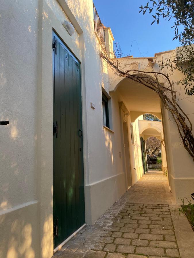 Agriturismo Colle Igino Матера Екстер'єр фото