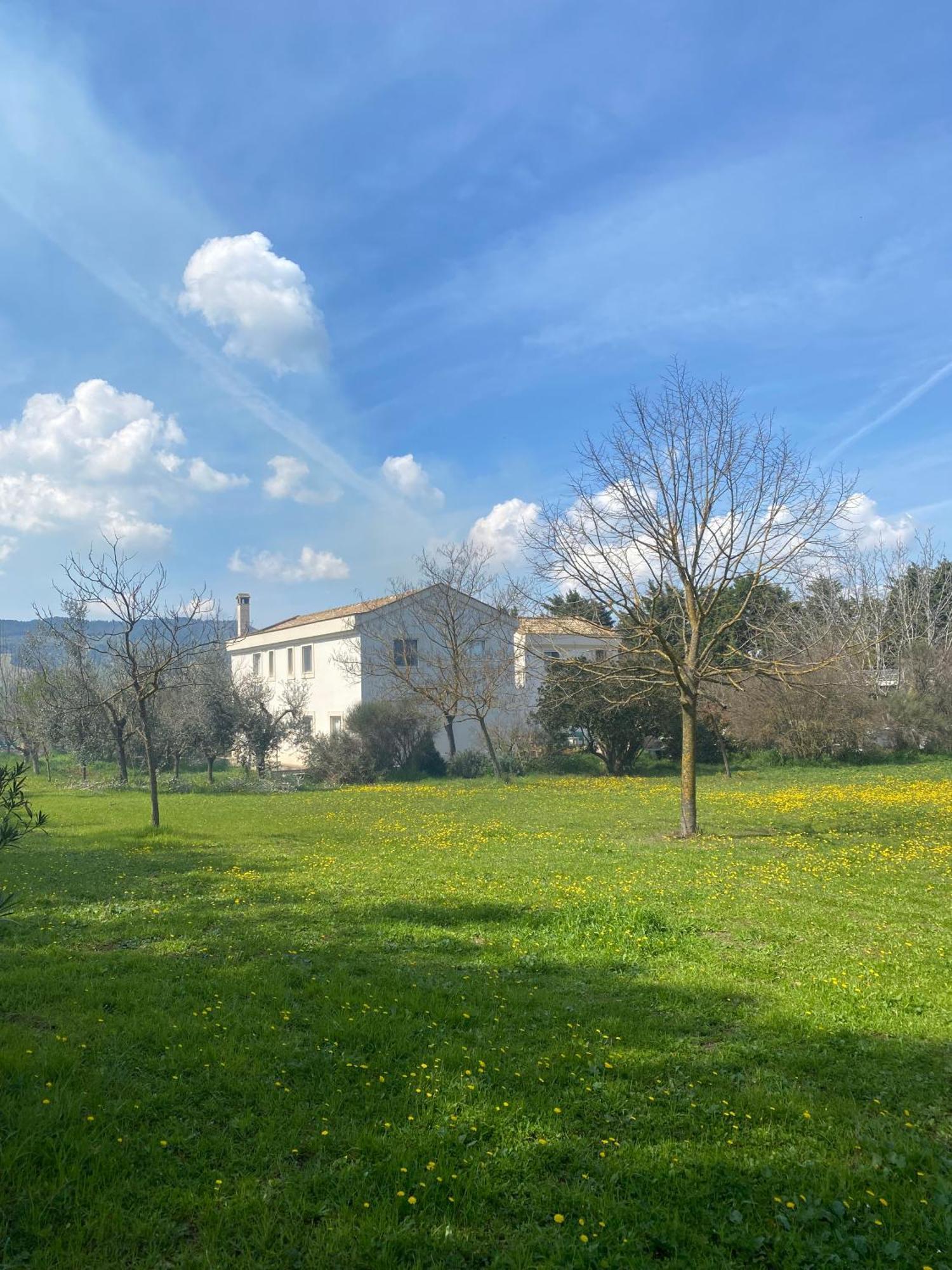 Agriturismo Colle Igino Матера Екстер'єр фото